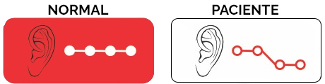 Sobre o Fonoaudiólogo